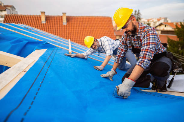 Best Chimney Flashing Repair  in Sand Ridge, NY