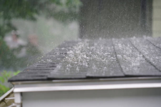 Best Sheet Metal Roofing  in Sand Ridge, NY