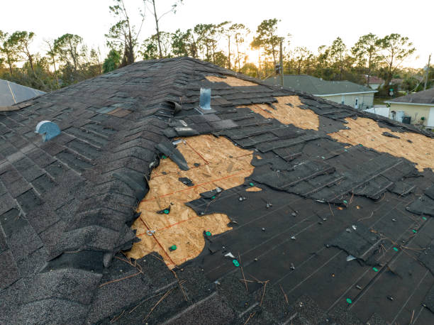 Best Roof Maintenance and Cleaning  in Sand Ridge, NY