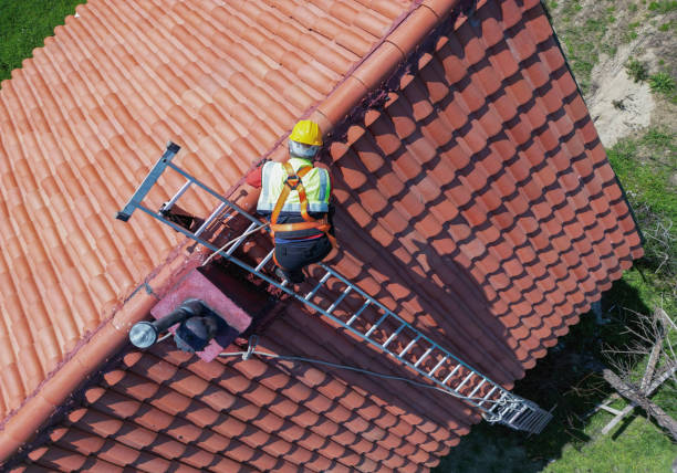 Best Roof Moss and Algae Removal  in Sand Ridge, NY
